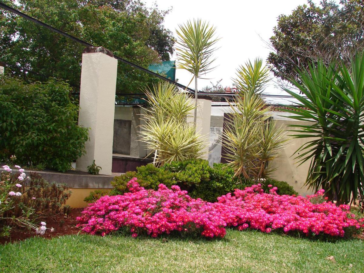 Private Pool Apt. With Great View Funchal  Esterno foto