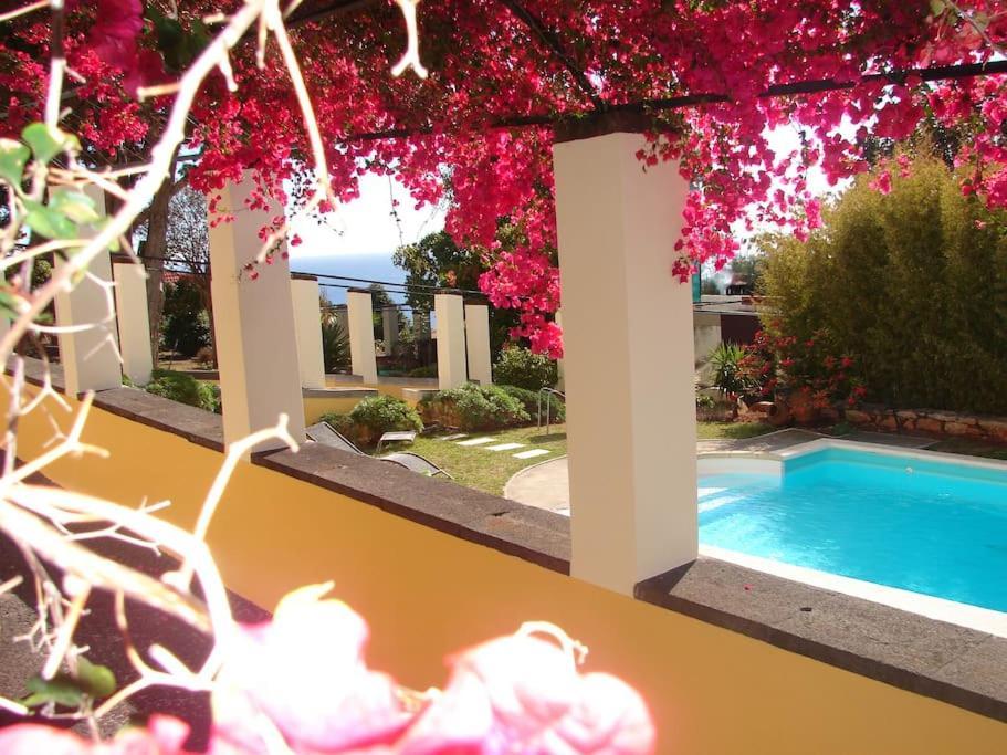 Private Pool Apt. With Great View Funchal  Esterno foto