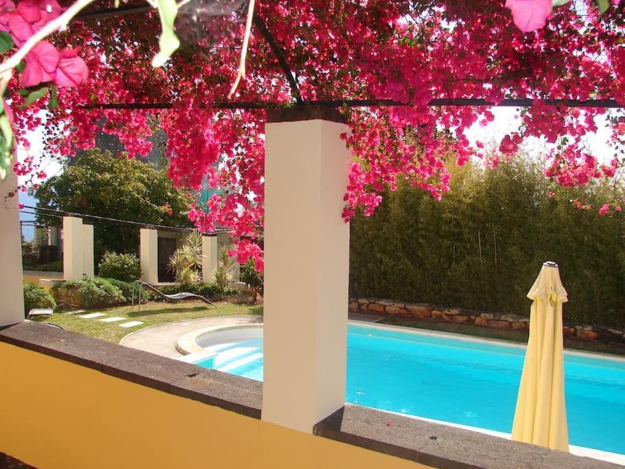 Private Pool Apt. With Great View Funchal  Esterno foto