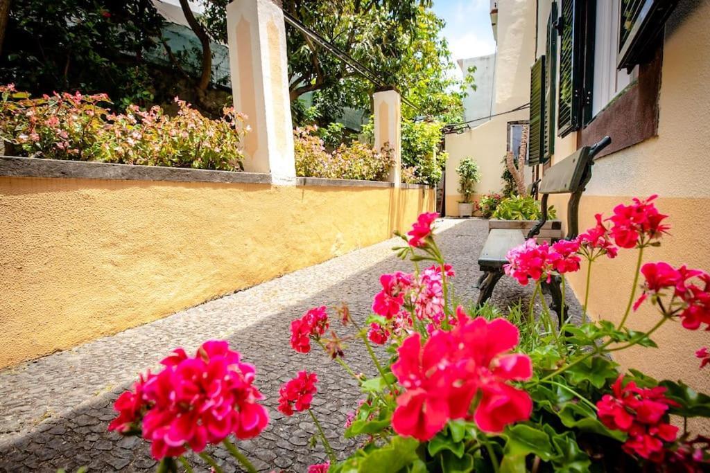 Private Pool Apt. With Great View Funchal  Esterno foto