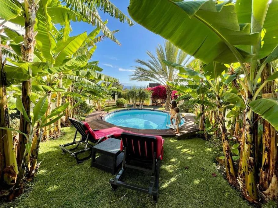 Private Pool Apt. With Great View Funchal  Esterno foto